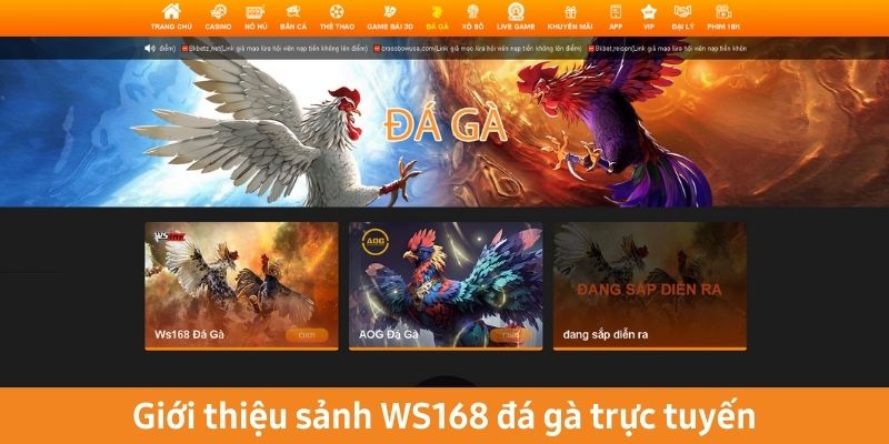 Giới thiệu sảnh WS168 đá gà trực tuyến